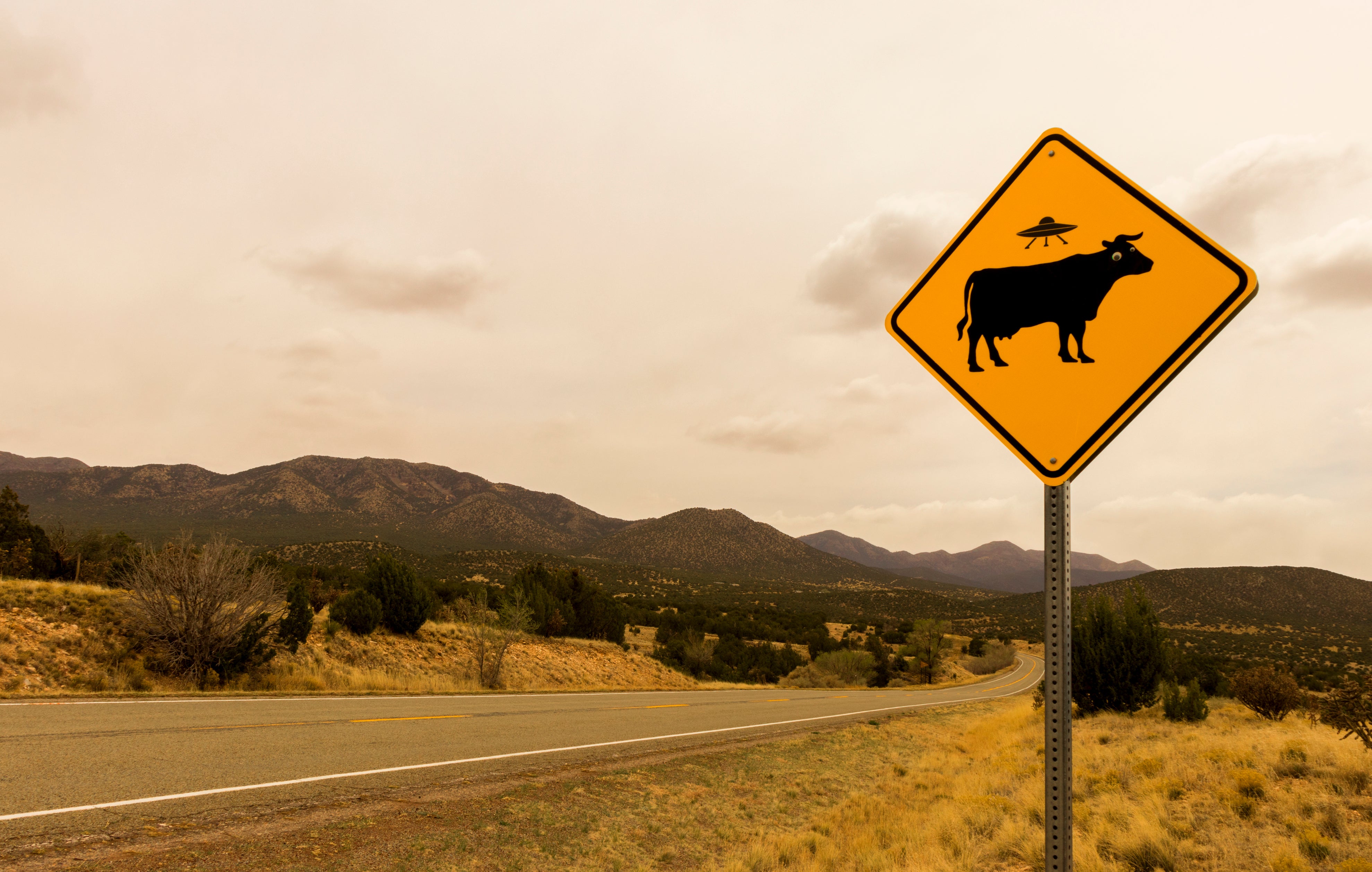 Cow abduction sign, New Mexico