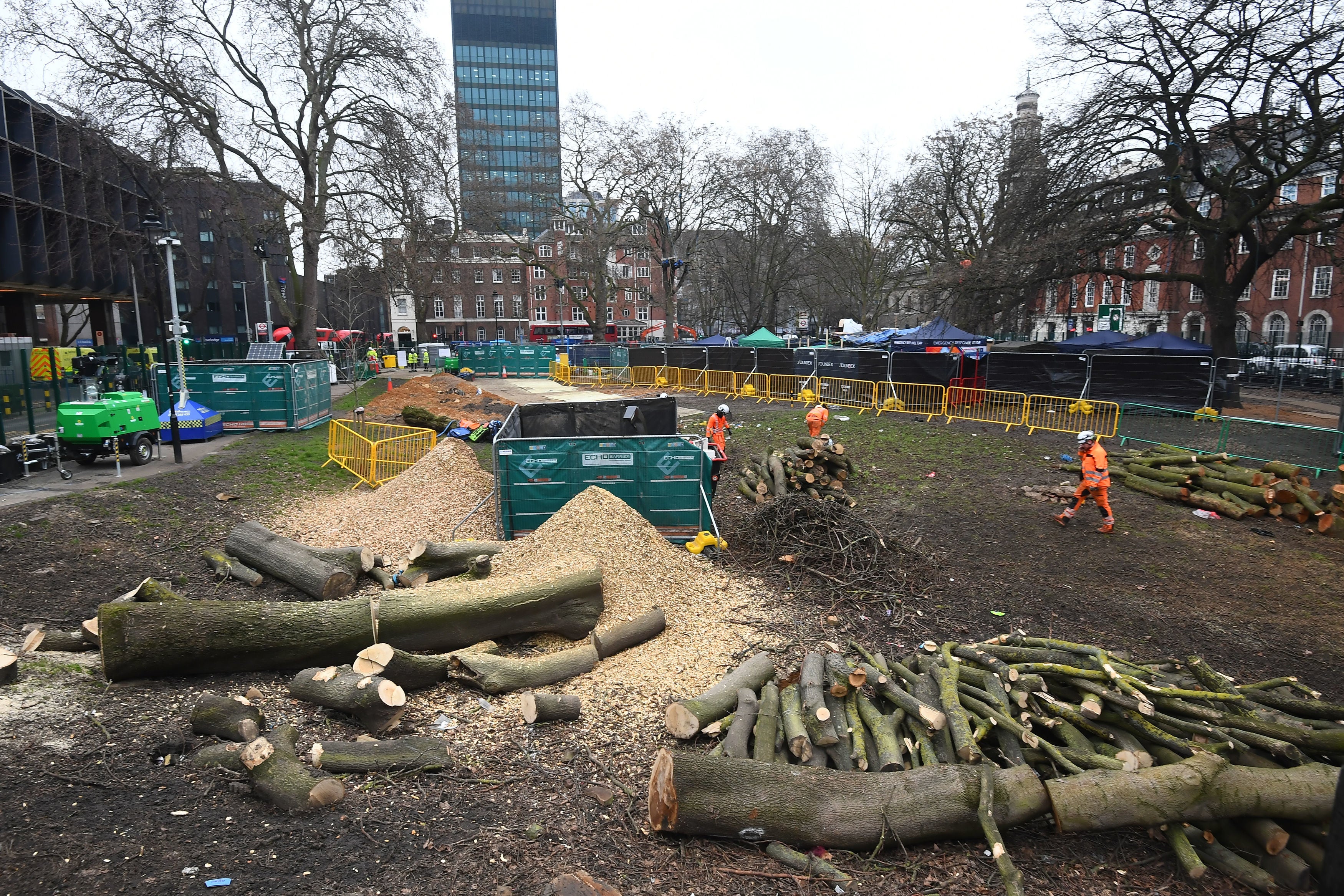 Workers clear felled trees next to the anti-HS2 camp at Euston Square Gardens