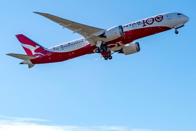 <p>Qantas has flown several ‘flights to nowhere’</p>