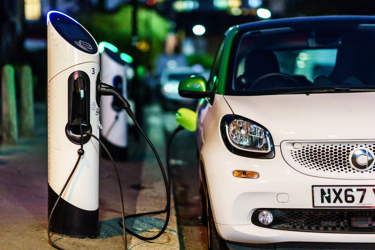 The government has cut grants for electric cars – I can understand why, but it’s a bad move