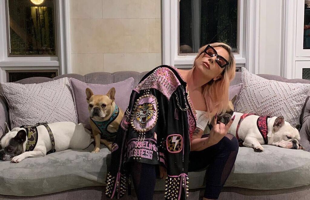 Lady Gaga posing with her dogs