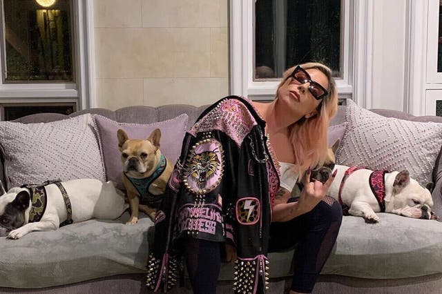<p>Lady Gaga posing with her dogs</p>