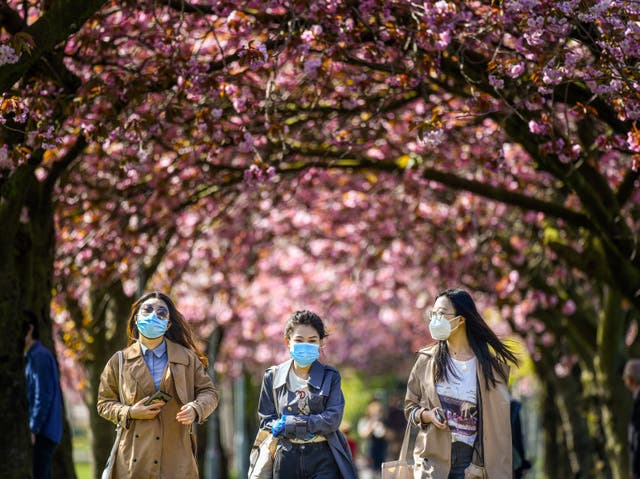 <p>Blossoming tree circles will be planted across the UK “to help signal reflection and hope” after the Covid-19 pandemic</p>