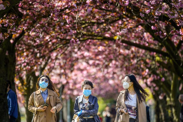 <p>Blossoming tree circles will be planted across the UK “to help signal reflection and hope” after the Covid-19 pandemic</p>