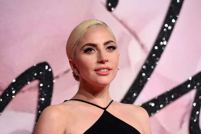 <p>File Image: Lady Gaga has offered $50,000 in return of her dogs, no questions asked</p>