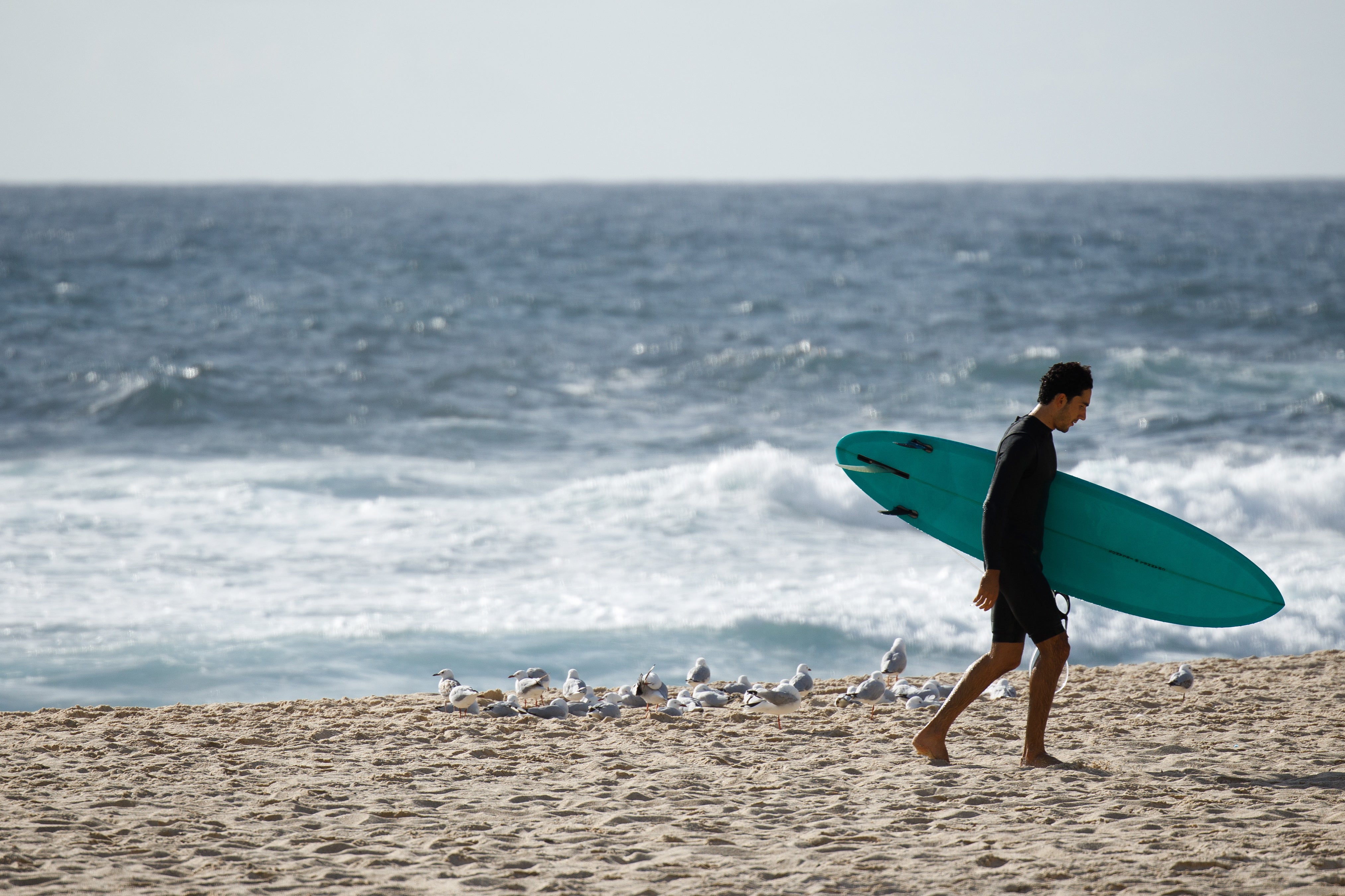 File image: The foot was discovered on a beach over 400 kilometres away from Sydney