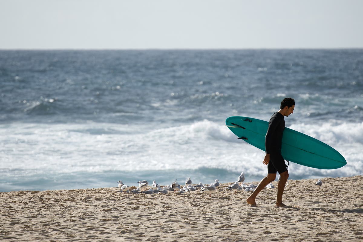 Foot belonging to missing fraud suspect turns up on beach in Australia ...