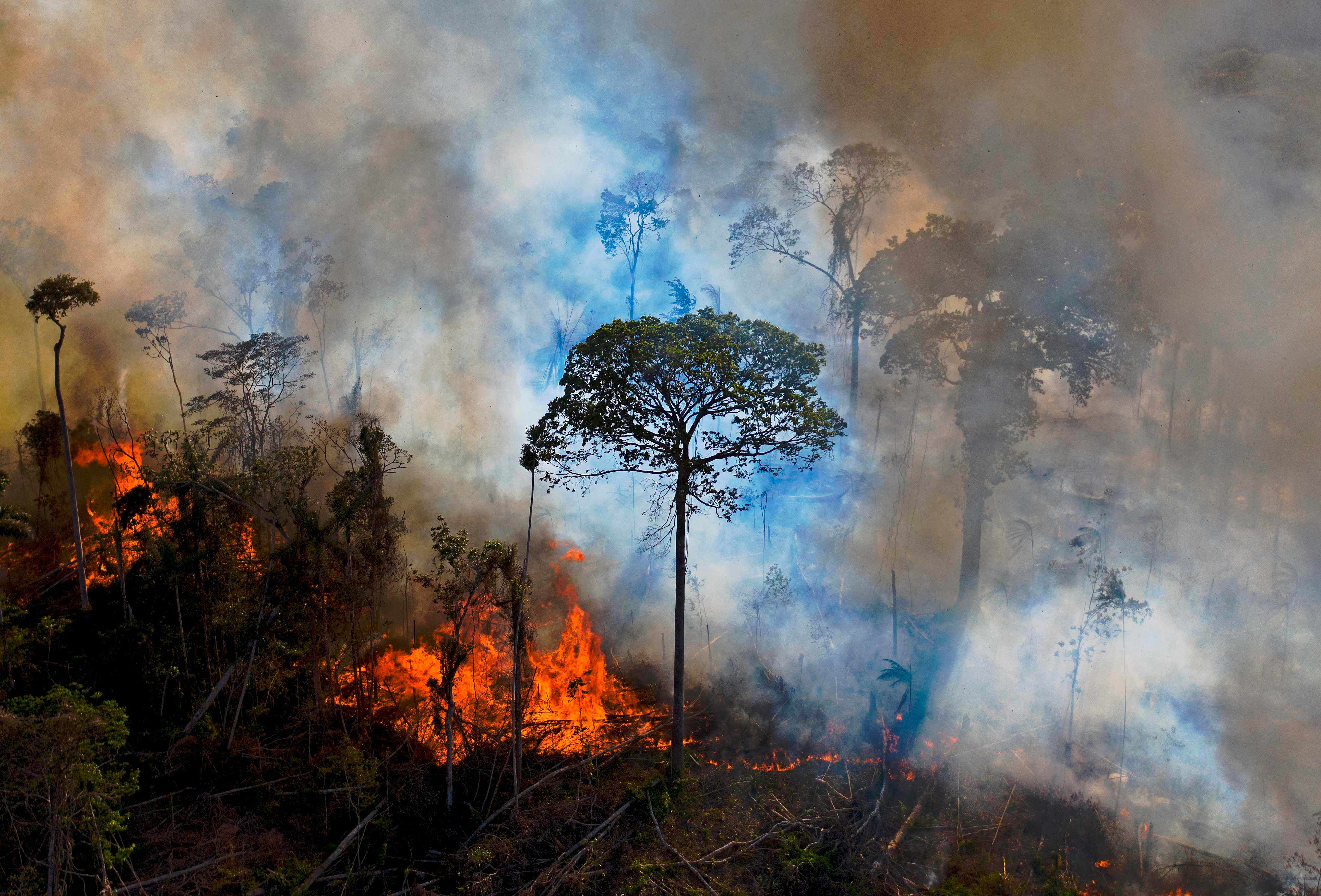 There were a record number of fires in the Amazon last summer