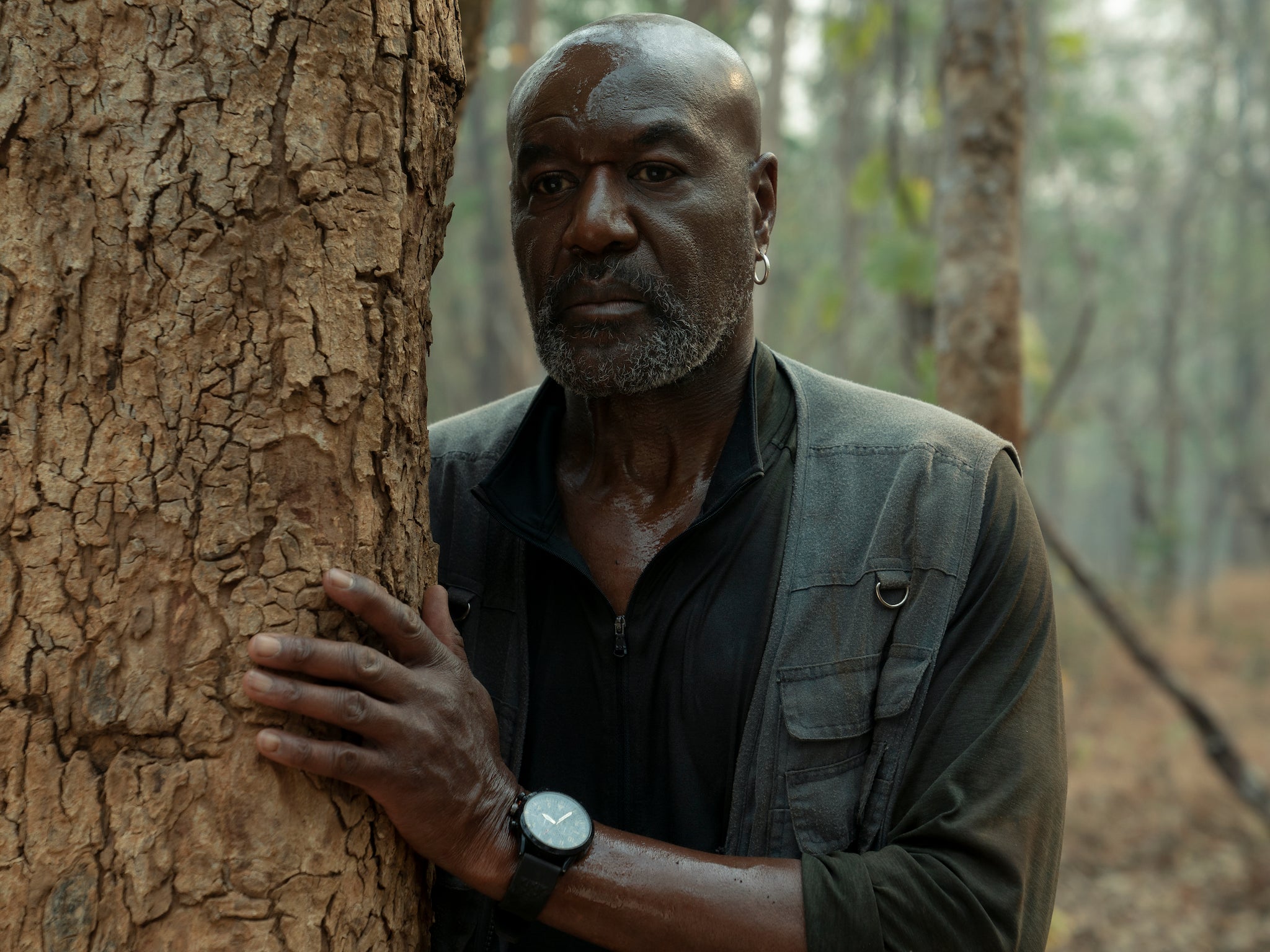 ‘Clearly I’m a volatile individual but I have legitimate reasons for the volatility’: Delroy Lindo as Paul in Da 5 Bloods
