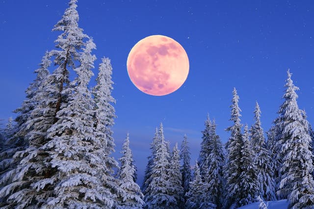 <p>February’s full moon is known as the Snow Moon</p>