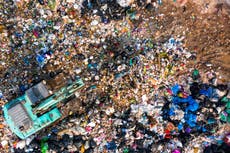 The story of one ordinary family doing its bit to save the world