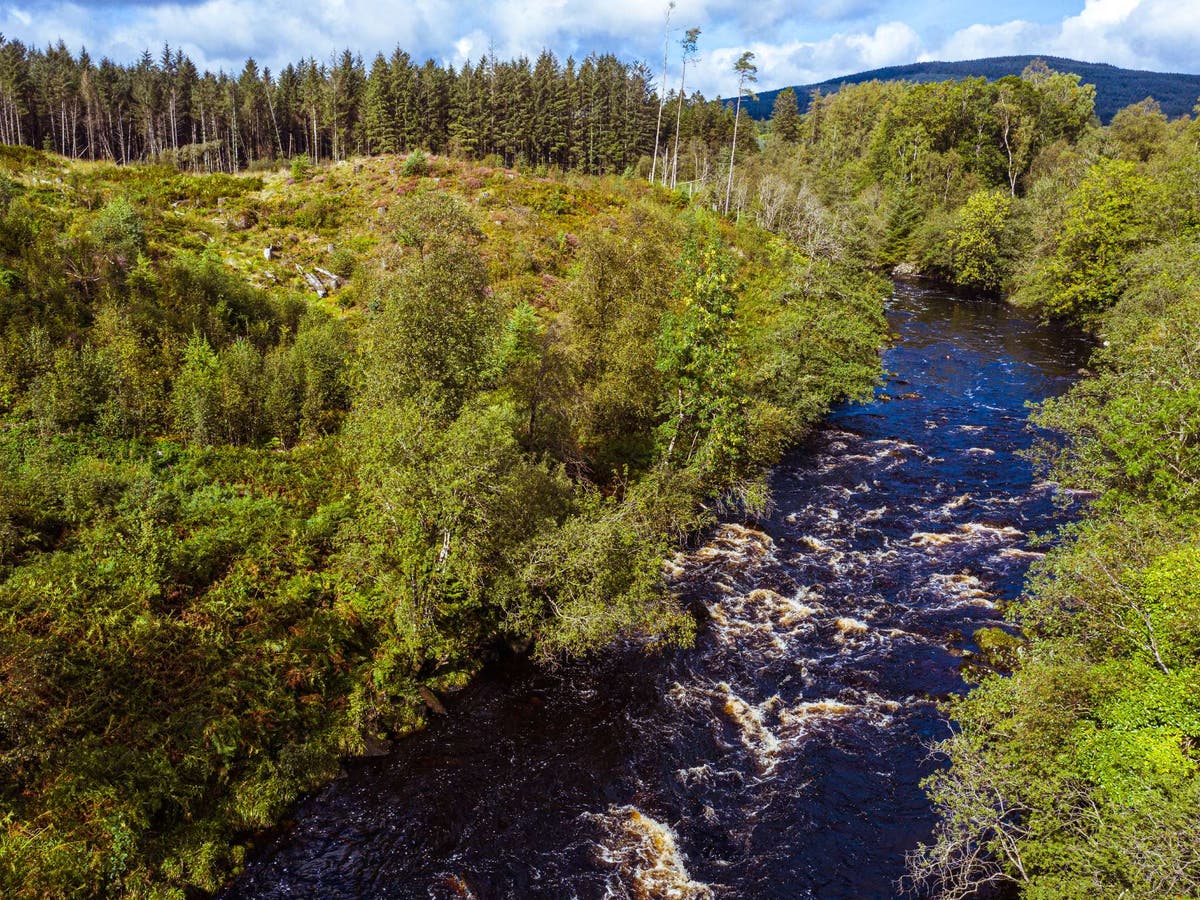 Promises to stop the decline of nature mean nothing unless action is taken