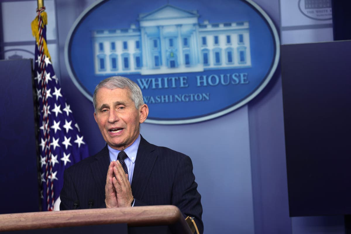 ‘No hospitalisations and no deaths’: All three US vaccines ‘highly efficacious’, Fauci says