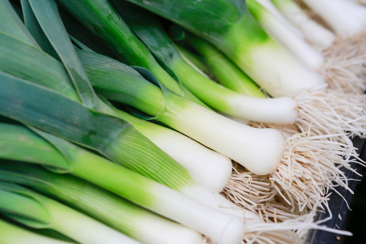 How to grow leeks in celebration of St David&rsquo;s Day
