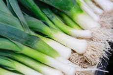 How to grow leeks in celebration of St David’s Day