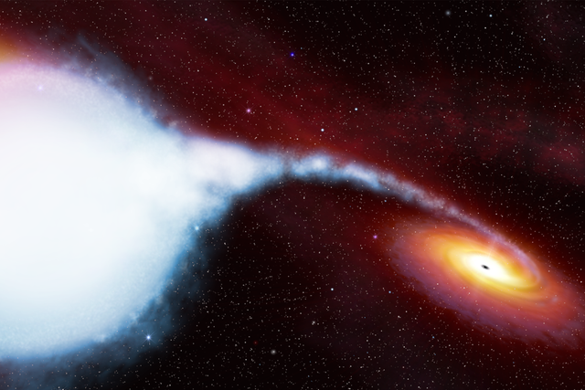 <p>Sculpted by the gravity of black hole, Cygnus X-1 is shaped like a cosmic pear</p>