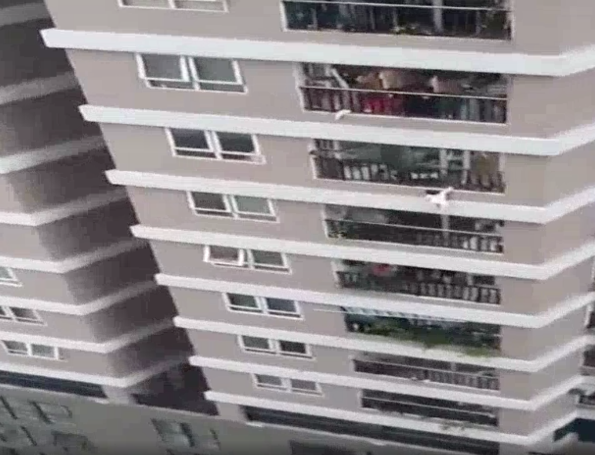 Девушка со 2 го этажа. Девочка упала из балкона 12 этажа. Окно 12 этажа.