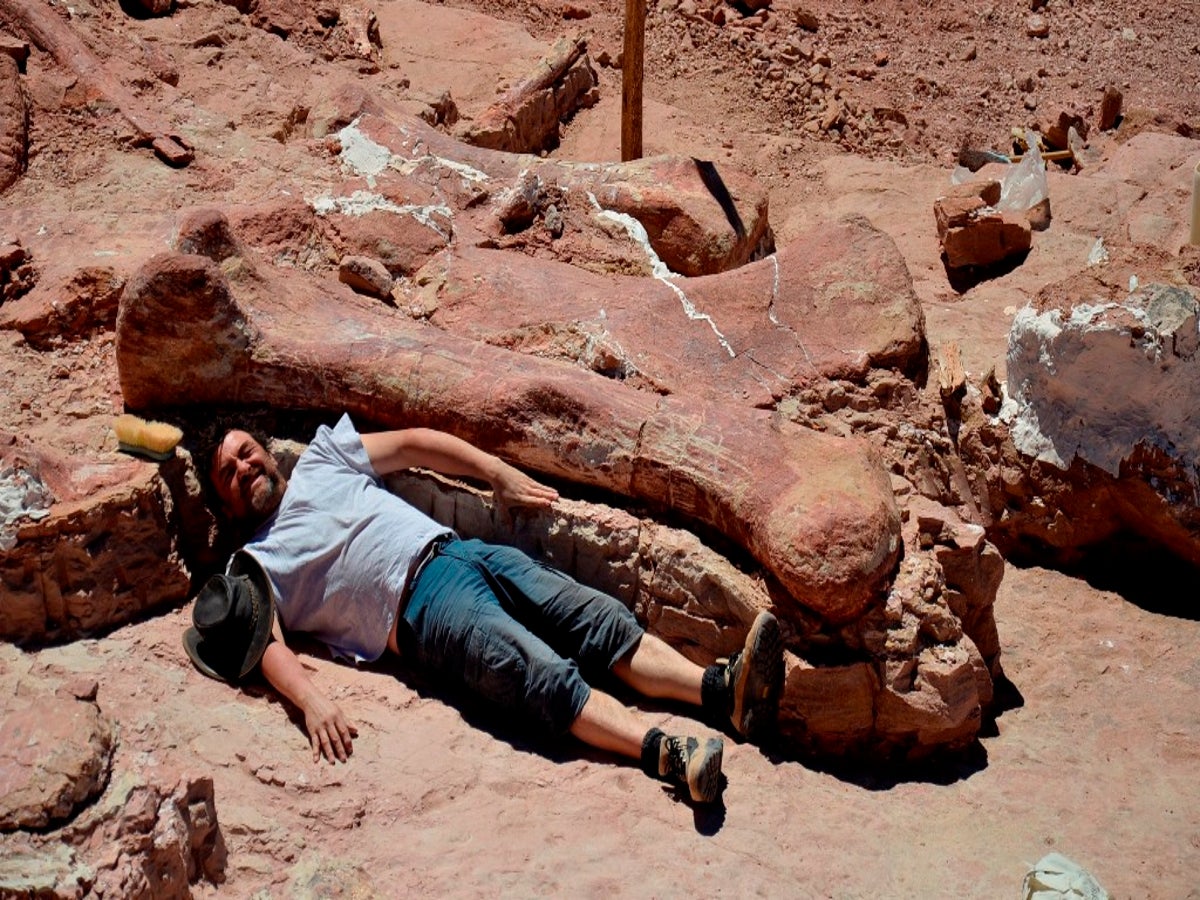 Dinosaur found in Argentina could be oldest titanosaur ever discovered | The  Independent