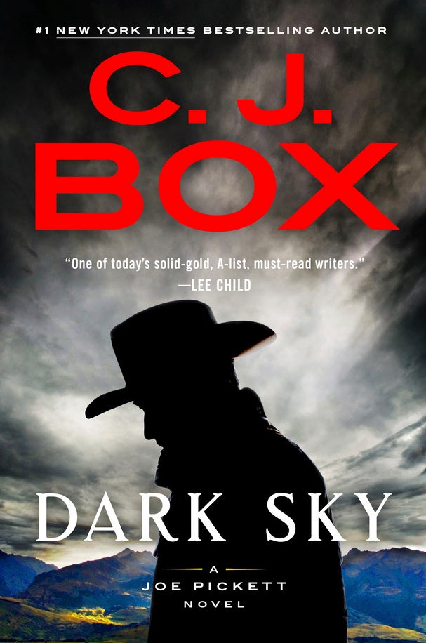 Book Review - Dark Sky