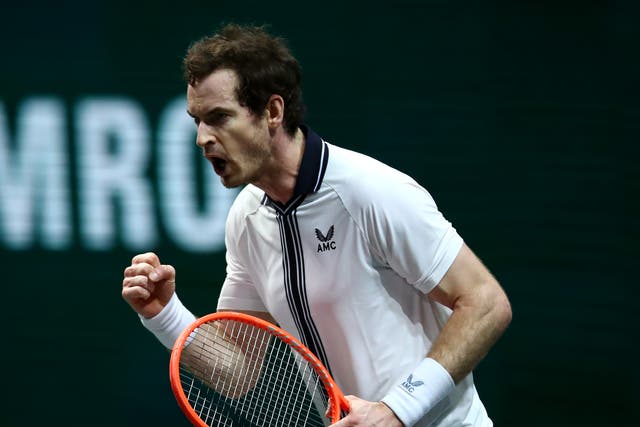 <p>Andy Murray celebrates defeating Robin Haase</p>