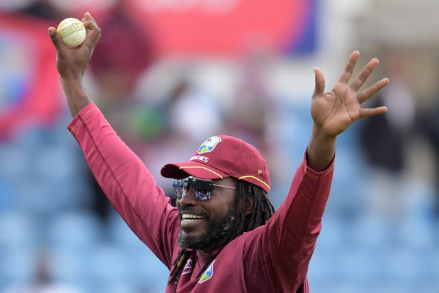 West Indies Chris Gayle Sexy Video Hd - Chris Gayle - latest news, breaking stories and comment - The Independent