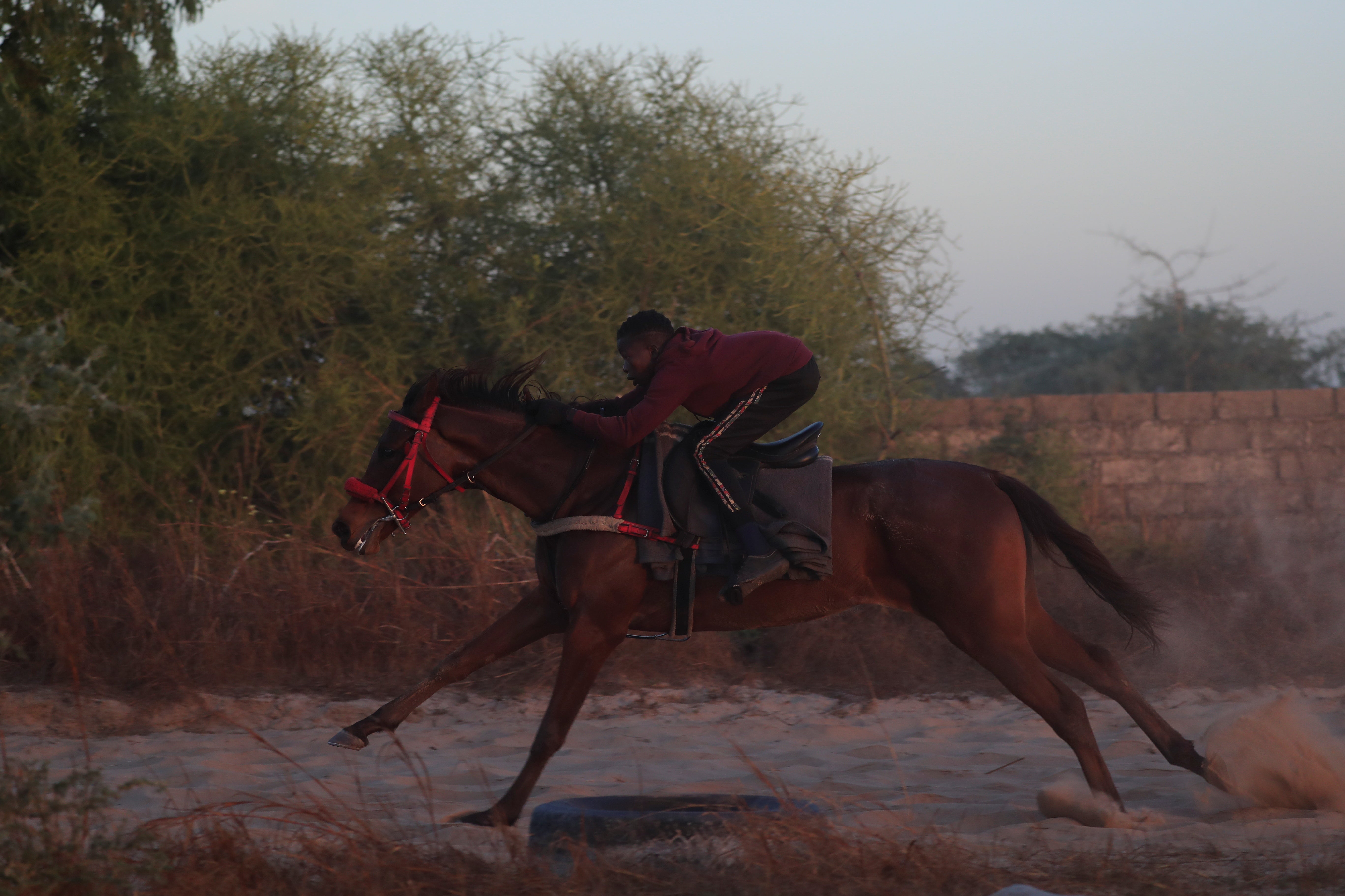 Diop rides his horse during a training session