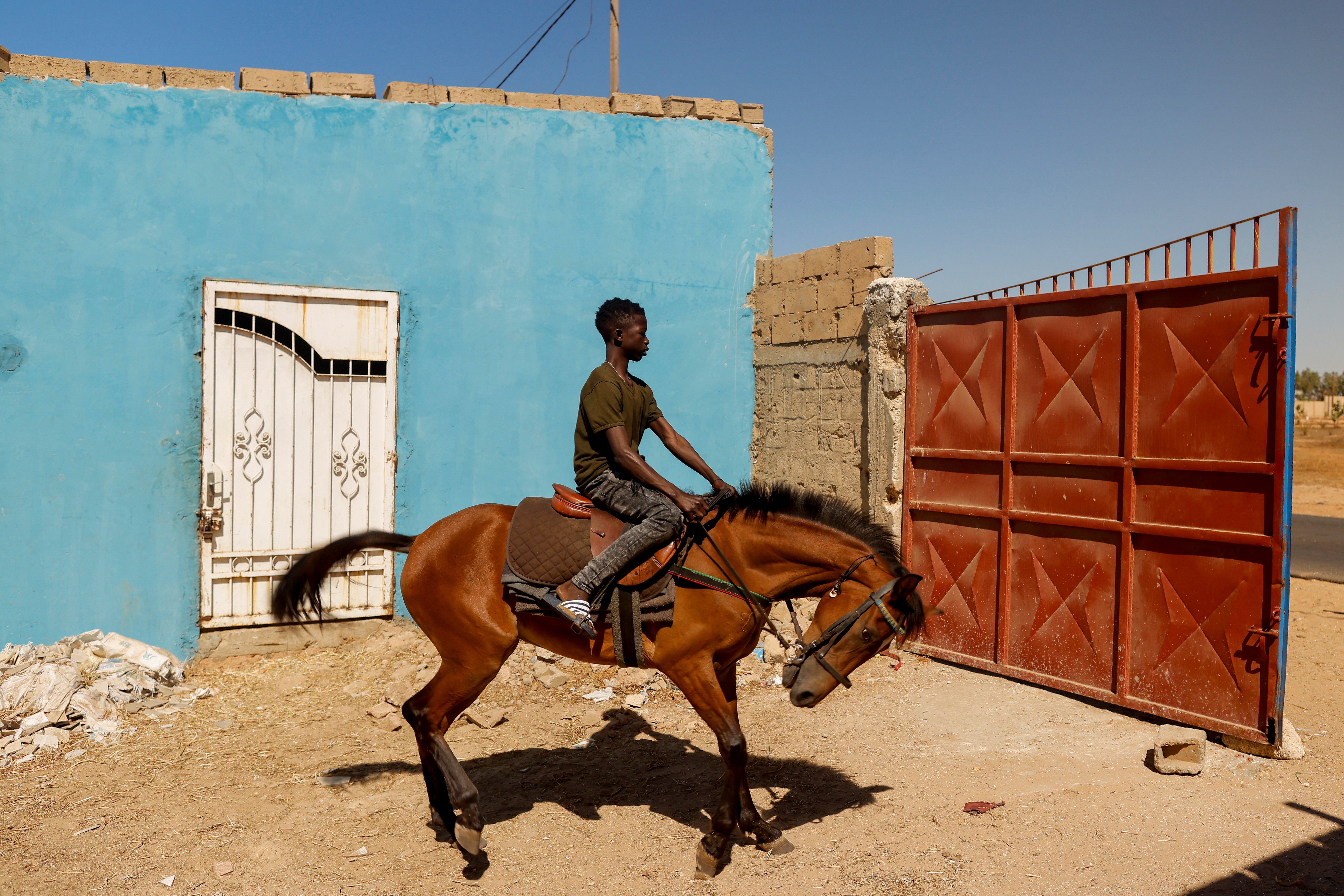 Fallou Diop trains a young mare called Raissa Betty, with which he hopes to compete