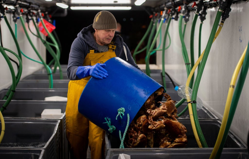 <p>Fishing firms and seafood exporters across the UK have been disrupted by the new post-Brexit customs checks and red-tape</p>