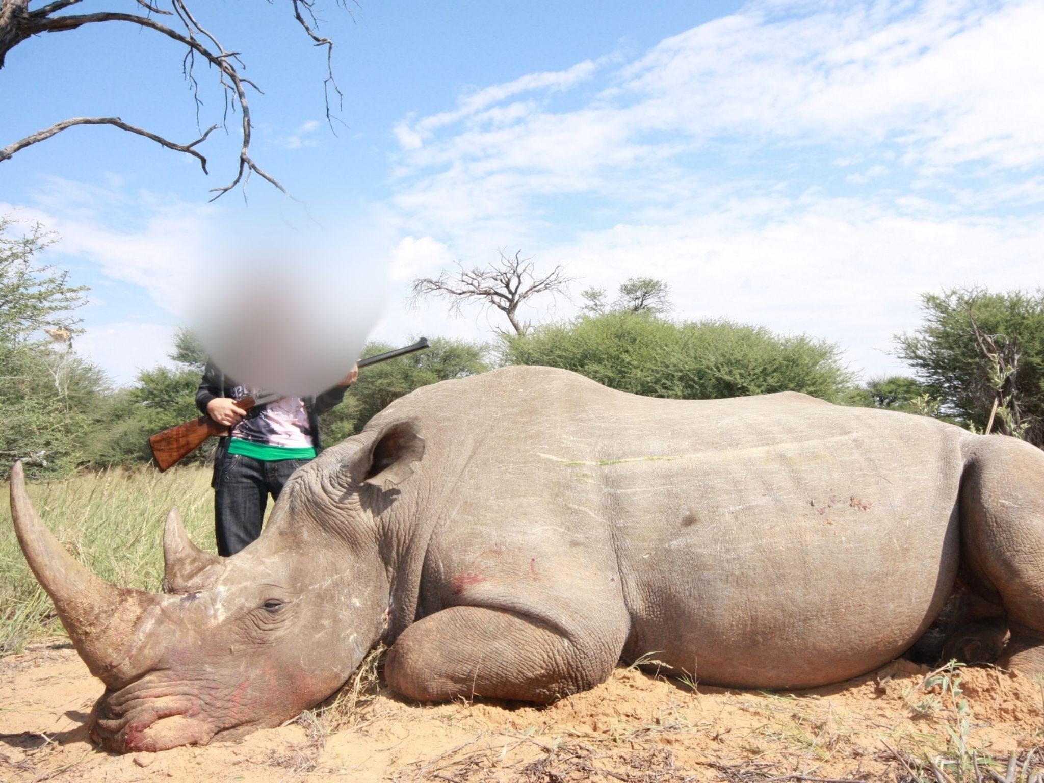 A trafficked sex-worker posing with a rhino in South Africa