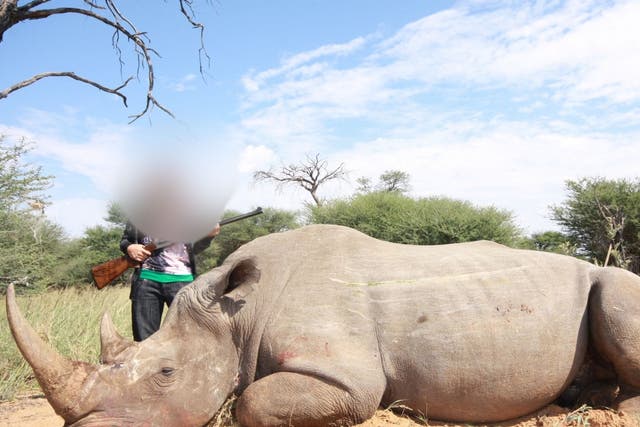 <p>A trafficked sex-worker posing with a rhino in South Africa</p>