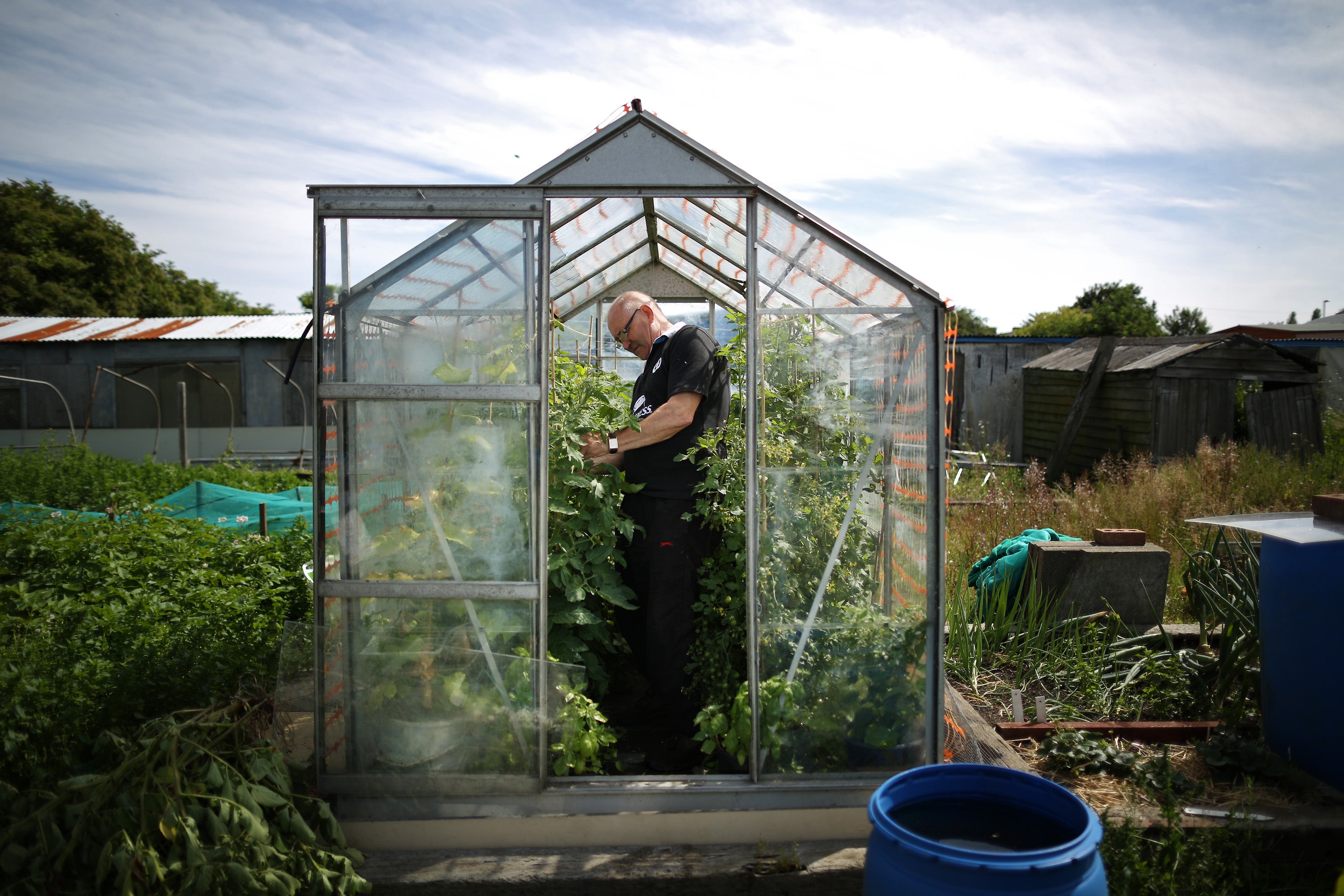 Lockdown has resulted in people spending more time at home and in the garden