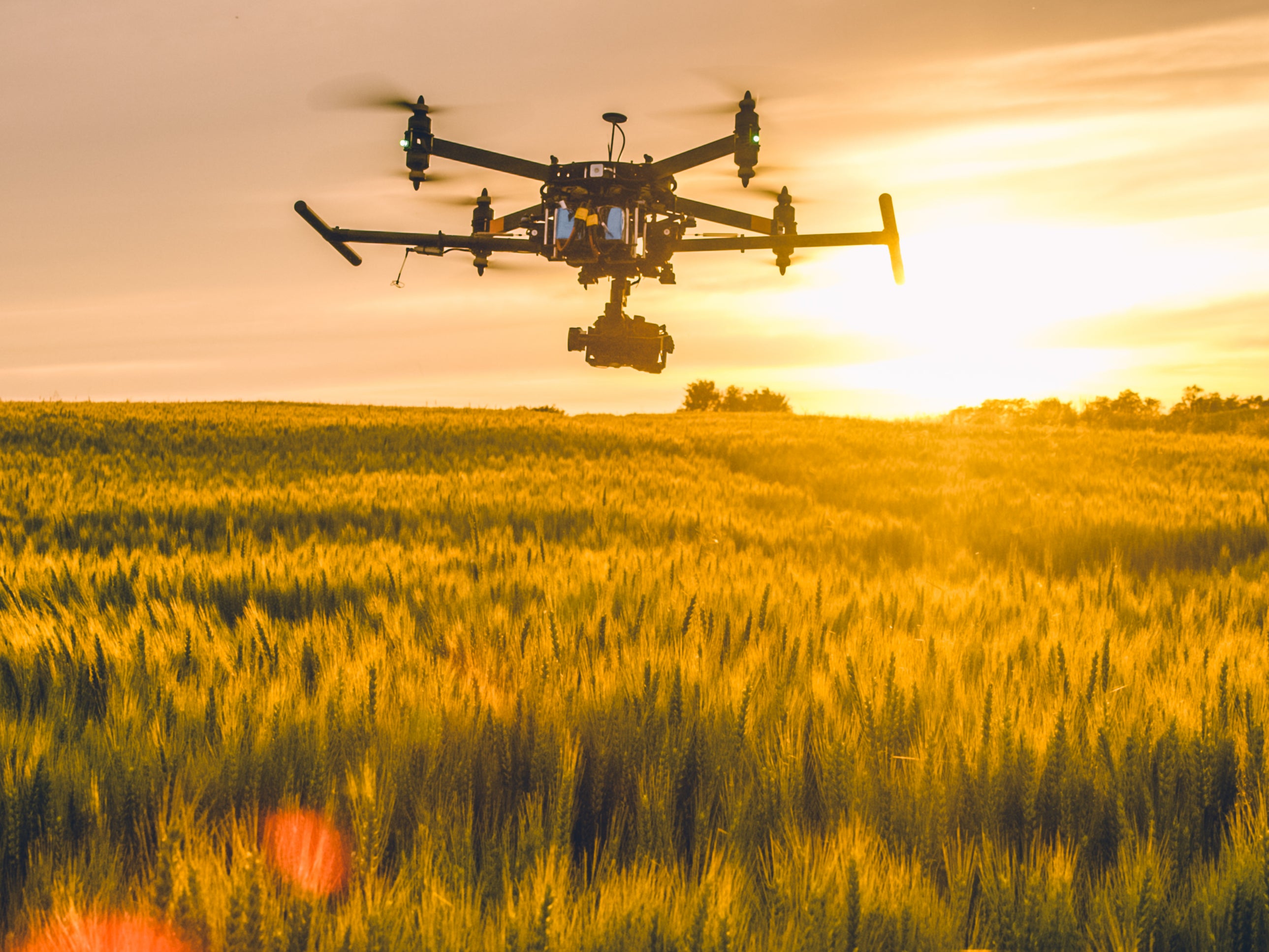 Drones with hoppers can deploy grain laced with poison across hundreds of acres a night