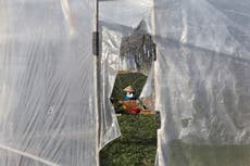 Migrant workers face dire conditions at South Korean farms 