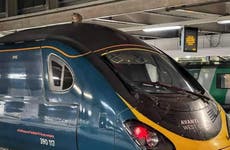 You’ve got tabby kidding me: train-surfing cat delays passengers