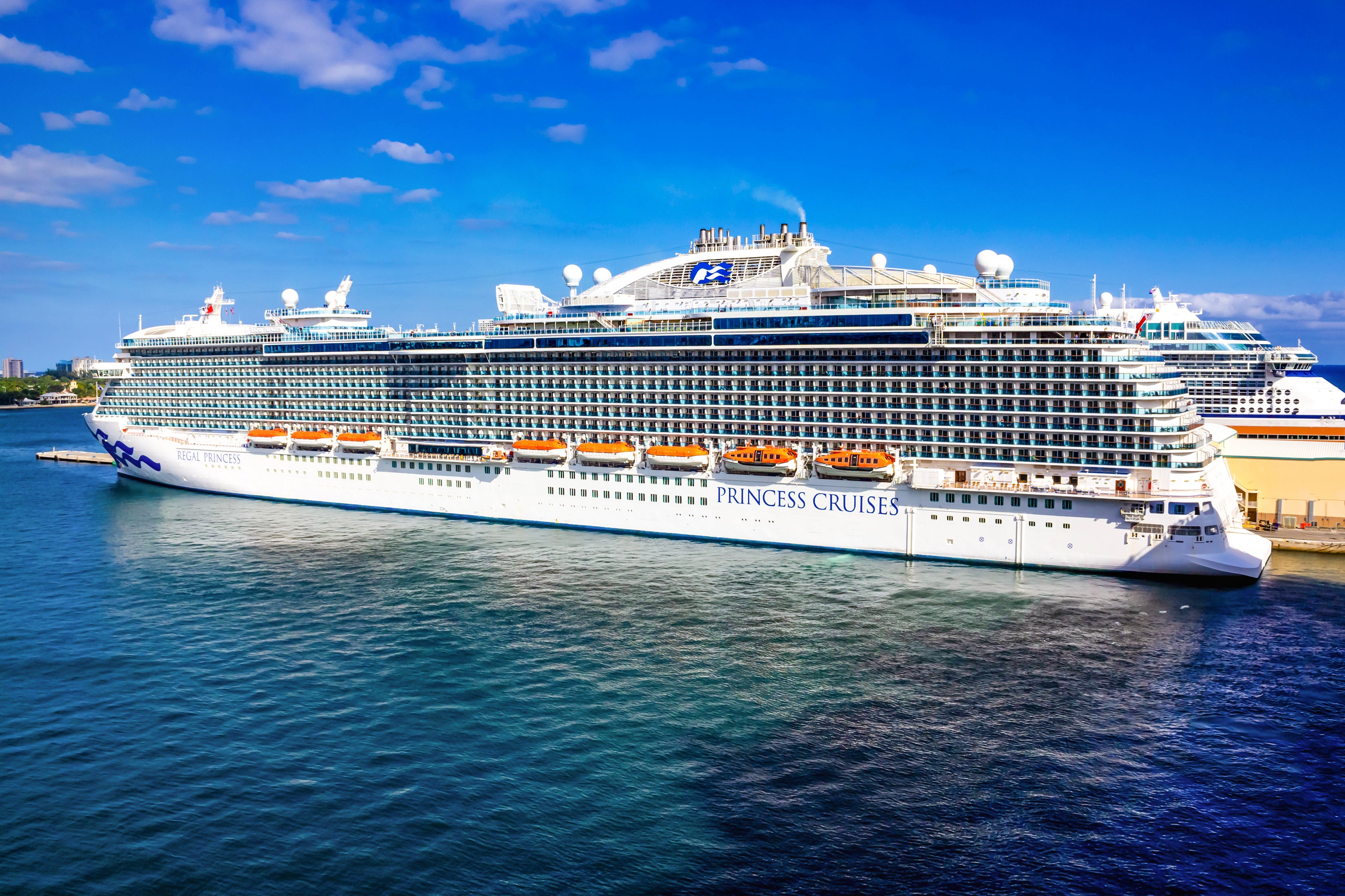 <p>Regal Princess will now sail around the UK</p>