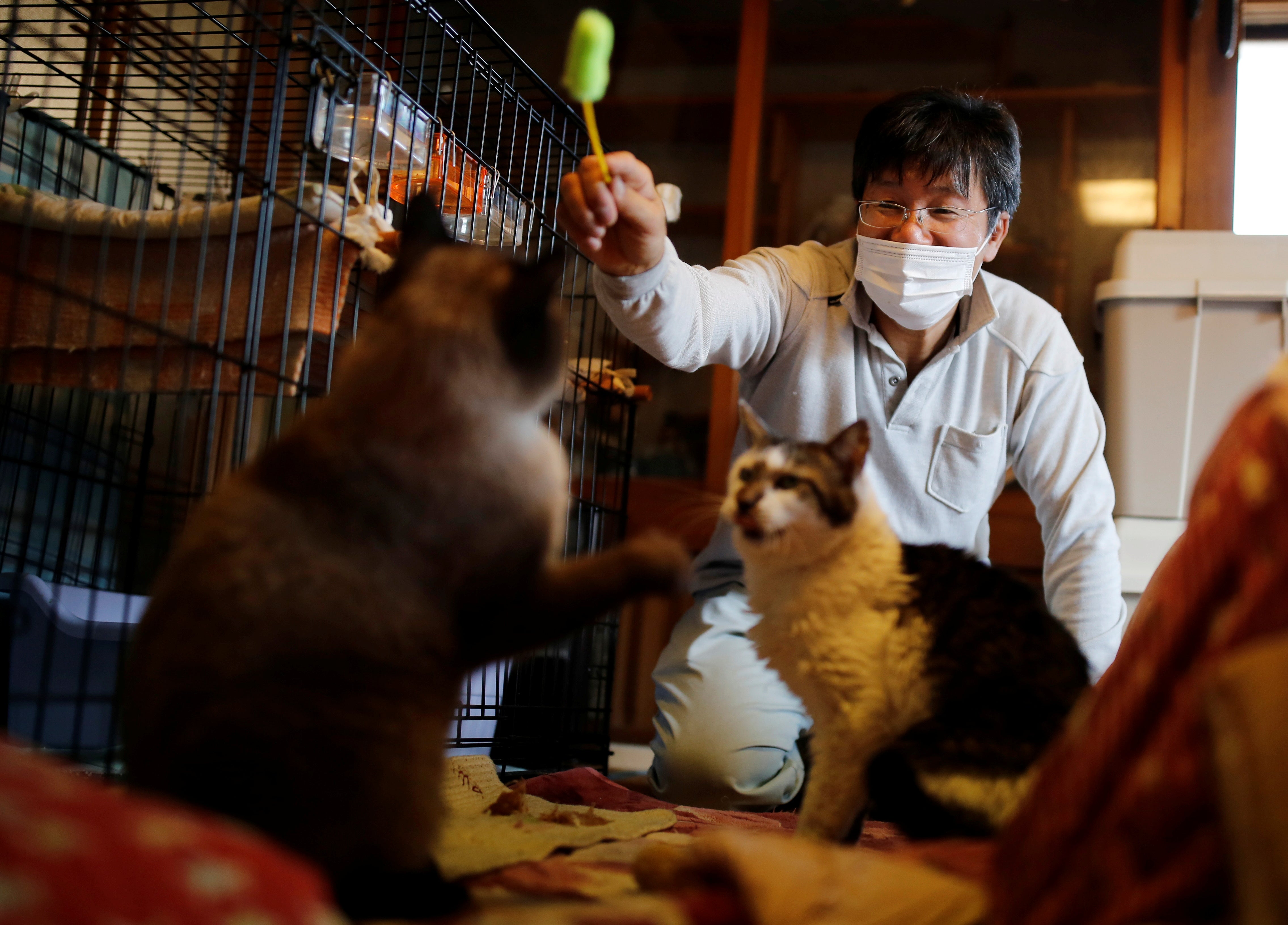 Sakae Kato plays with cats that he rescued, called Mokkun and Charm, who are both infected with feline leukemia virus, at his home, in a restricted zone in Namie, Fukushima Prefecture, Japan