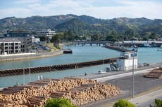 New Zealand earthquake: 7.3-magnitude tremor sparks tsunami warning