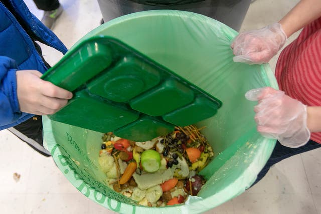 UN Food Waste Report