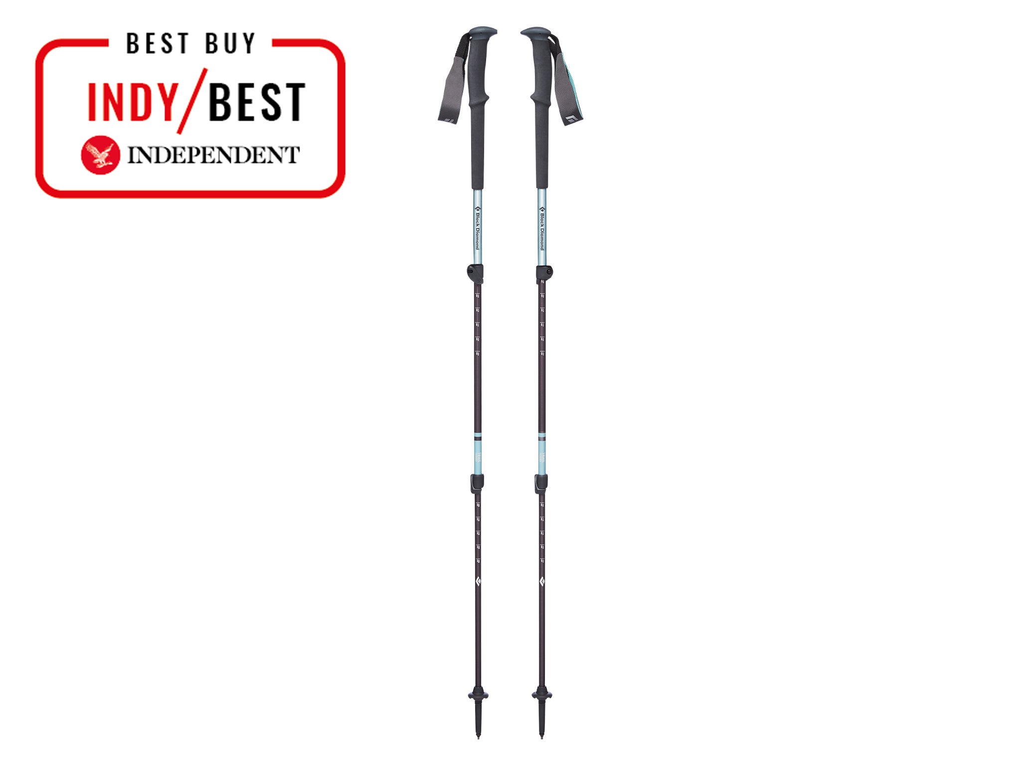 best walking pole uk