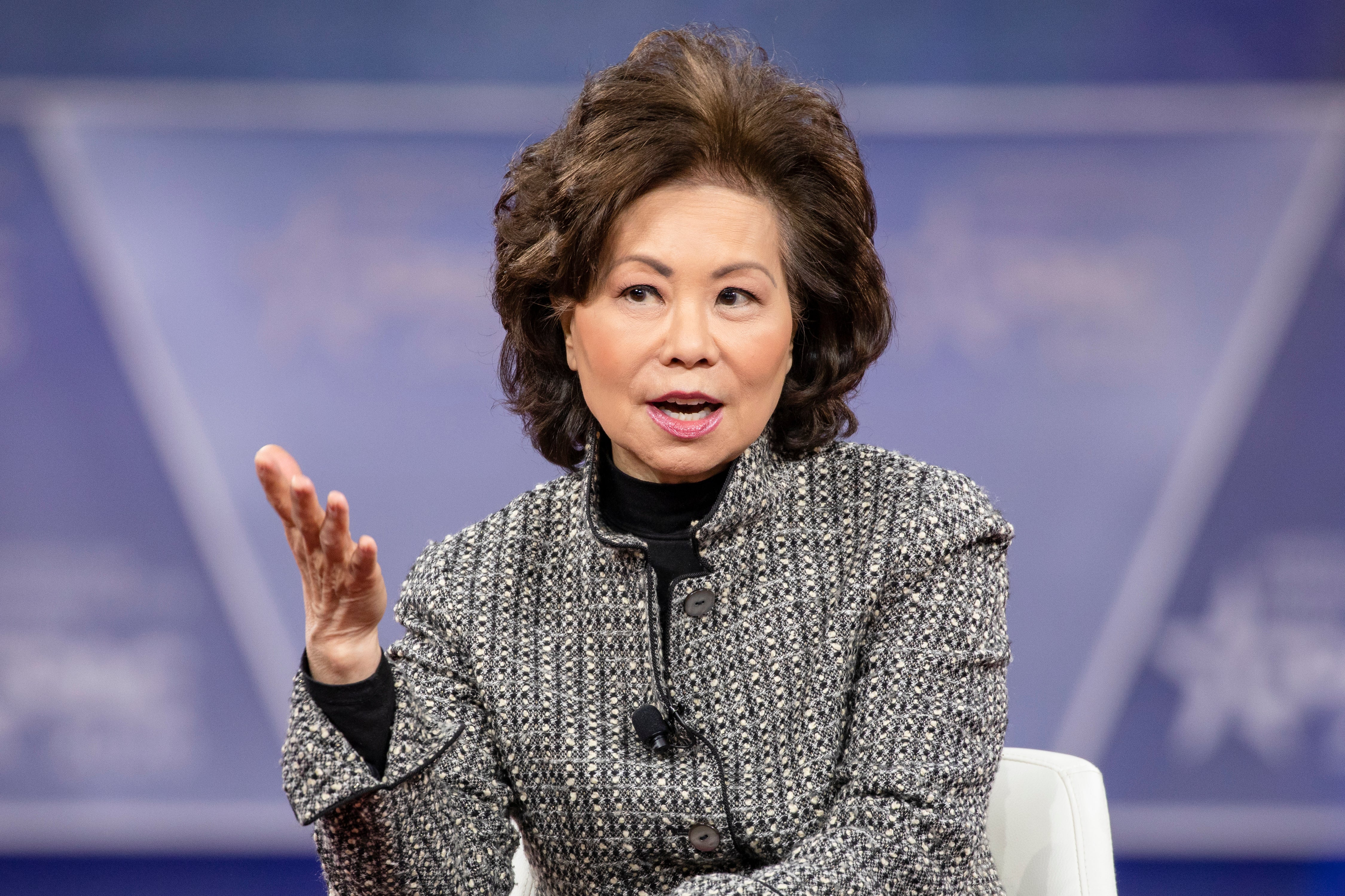 <p>NATIONAL HARBOR, MD - 28 DE FEBRERO: La secretaria del Departamento de Transporte Elaine Chao habla durante la Conferencia de Acción Política Conservadora 2020 (CPAC) organizada por la Unión Conservadora Estadounidense el 28 de febrero de 2020 en National Harbor, MD. </p>