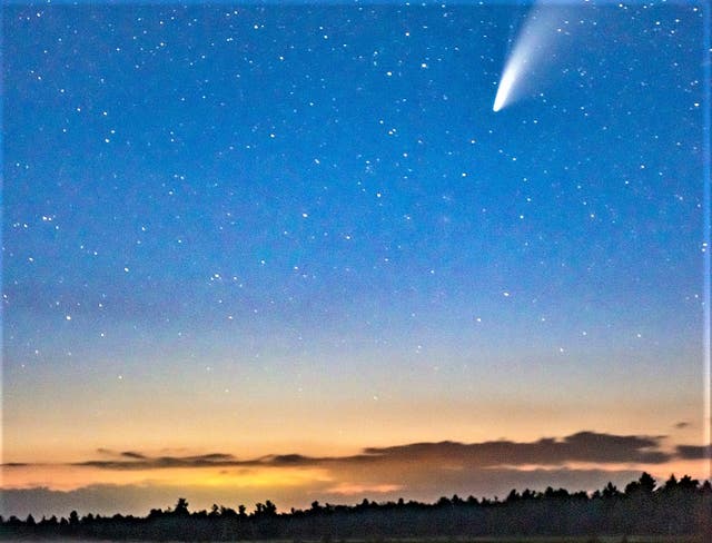 A meteorite the size of an apricot has fallen to Earth in southwestern France