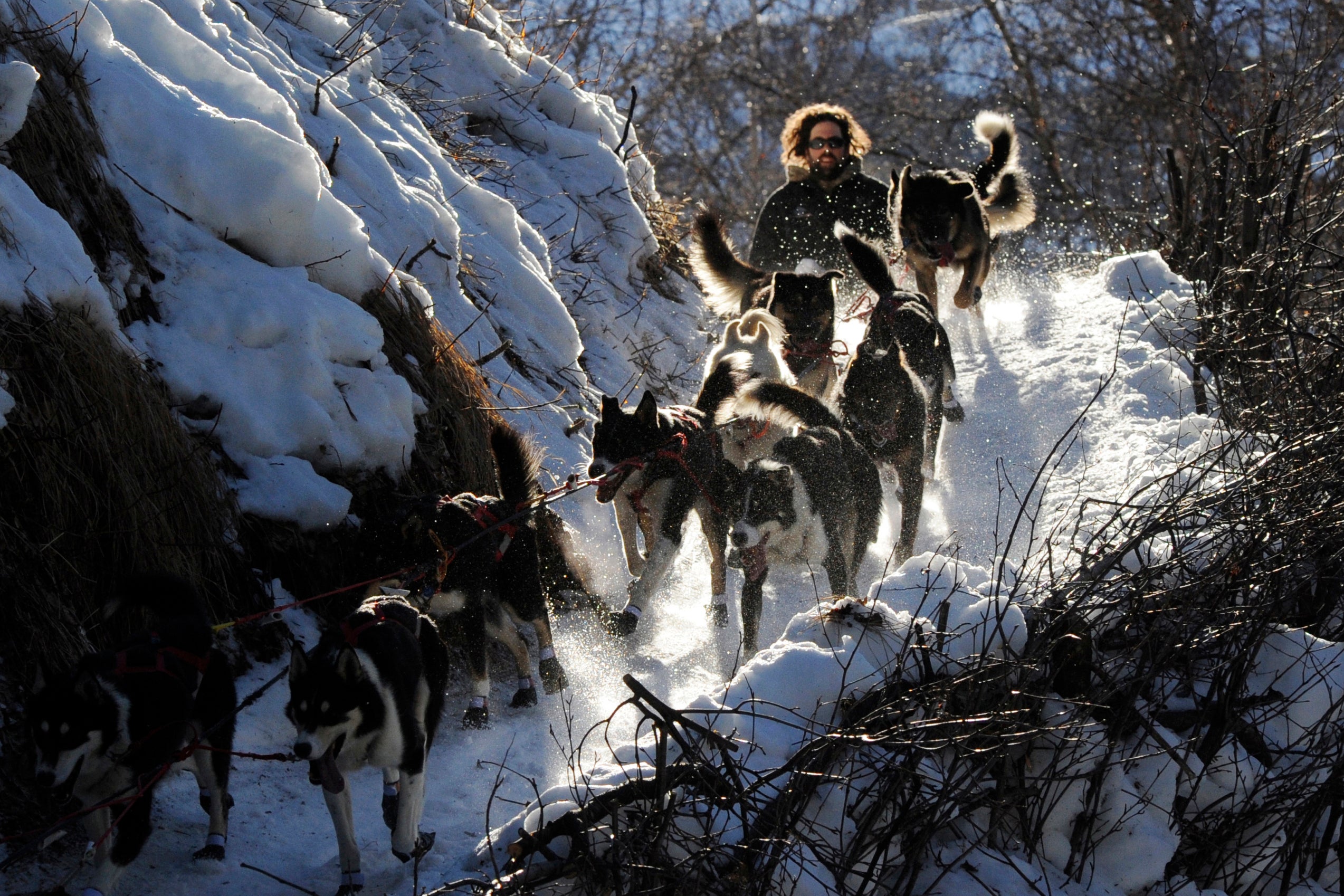 The Iditarod Route and History in Alaska