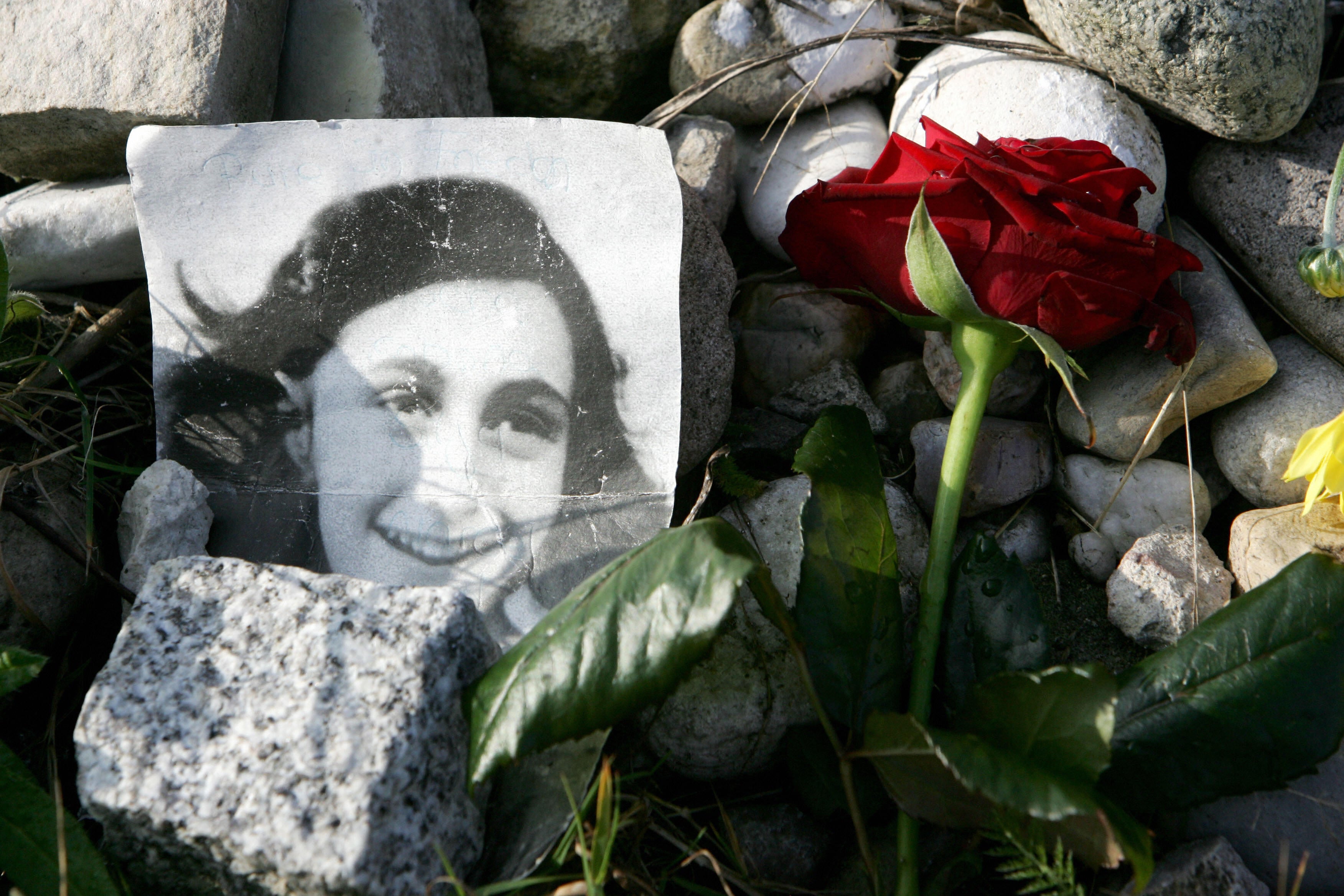 A picture of Anne Frank lies in front of a memorial stone