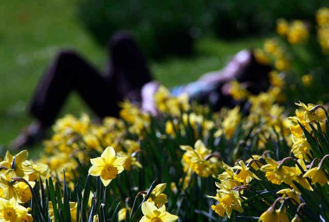 <p>Sunnier, warmer weather behind lift in mood, poll suggests</p>
