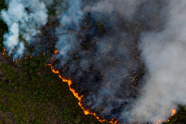 A fire at the Chapada Diamantina region, between the cities of Andarai and Mucuge, in Bahia state, northeastern Brazil, on October 7, 2020