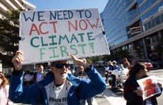 How to make sure your money is not funding the climate crisis
