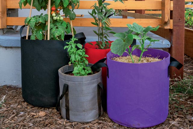 Plants in lightweight grow bags (Kevin Espiritu/PA)