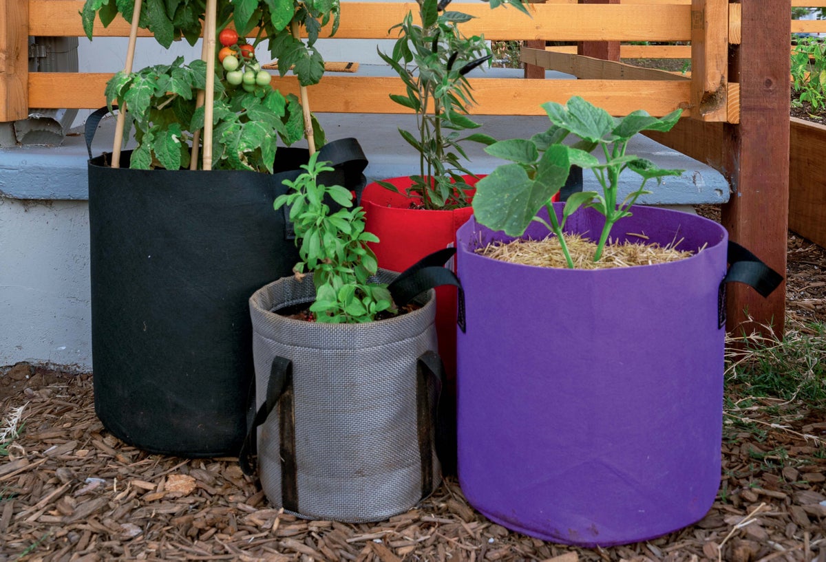 How to Use Grow Bags for Amazing Vegetable Gardens