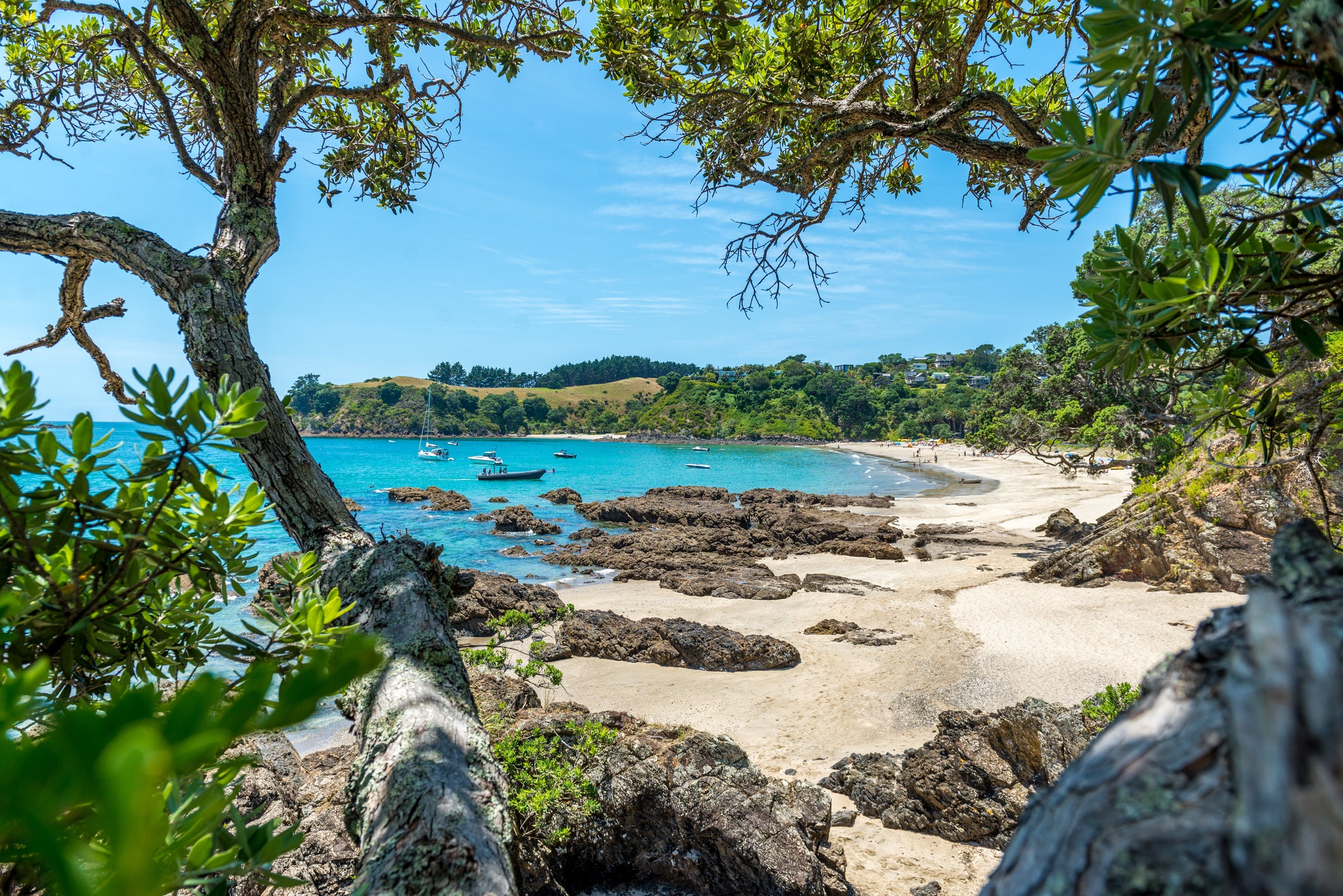 Waiheke Island, off the coast of Auckland