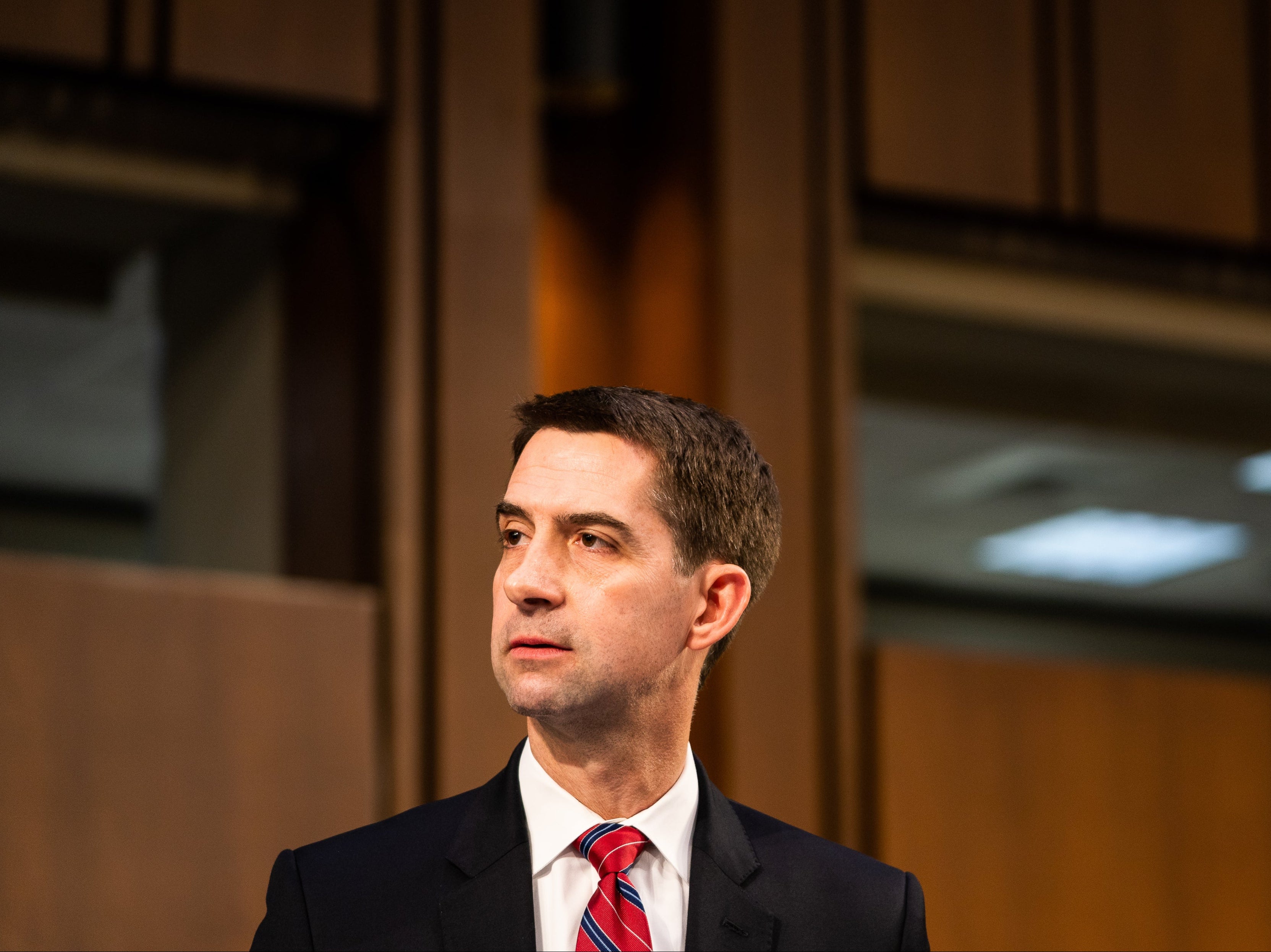 <p>Republican Arkansas Senator Tom Cotton</p>